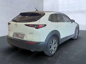 Mazda CX-30 Exclusive-Line AWD Bluetooth Head Up Display Bild 4