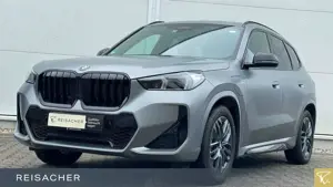 BMW X1 xDrive30e A M-Sport AHK ACC PDC RFK Pano 20"