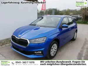 Skoda Fabia Selection 1.0 TSI *LED*PDC-HI*SMARTLINK*SHZ*BLU...