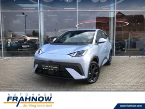 BYD Dolphin 65 kW Boost ACC NAVI KAMERA APPLink