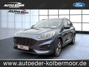 Ford Kuga ST-Line Rückfahrkamera Sportpaket Bluetooth