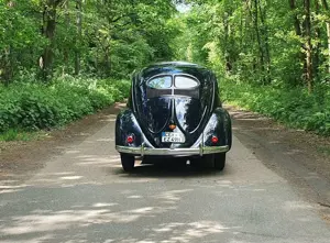 Volkswagen Käfer Brezelkäfer Standard