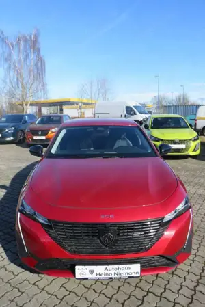 Peugeot 308 SW Allure *RFK*LM*DAB*LED*NAVI*SH*TEMP*PDC* Bild 3