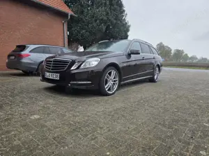 Mercedes-Benz E 220 T CDI DPF BlueEFFICIENCY Avantgarde