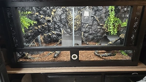 Terrarium mit ausbau und Ausstattung 