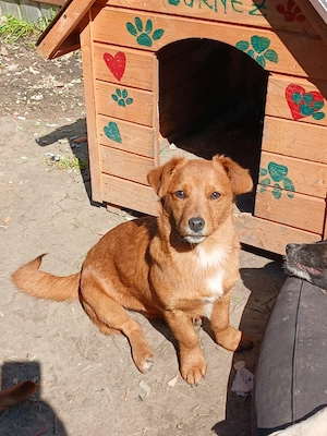 Moni 6 monate in Rumänien 