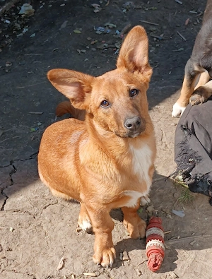 Oana 7 monate in Rumänien 