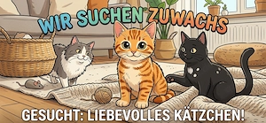 Wir suchen jungen Zuwachs  