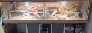 großes Terrarium 