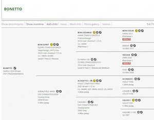 2 J DSP Hengst  Bild 4