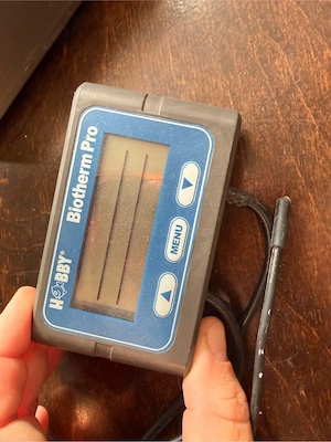 Hobby Biotherm Pro Thermostat   Terrarium Temperatursteuerung