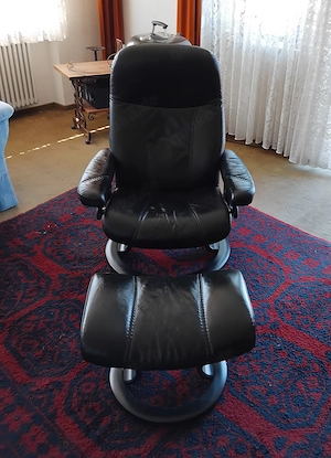 Wohnzimmersesel aus Leder