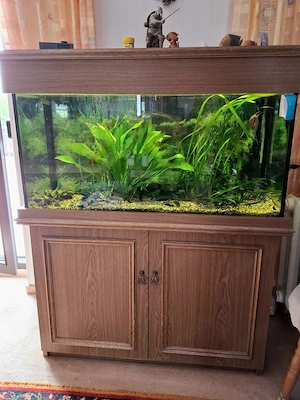 Aquarium Kombination 