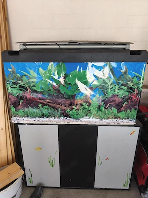 Aquarium mit Unterschrank 200l