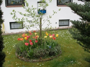 großes Einfamilienhaus 