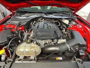 Ford Mustang 2.3 Ecoboost Cabrio Bild 4