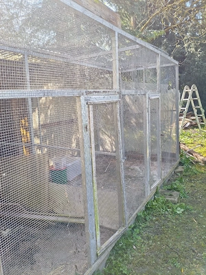 Voliere 5m x 3m zum verschenken 