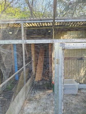 Voliere 5m x 3m zum verschenken 