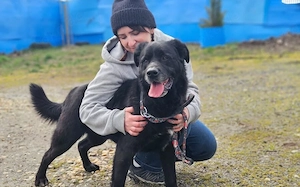 Seniorensitz für den freundlichen Aluis 