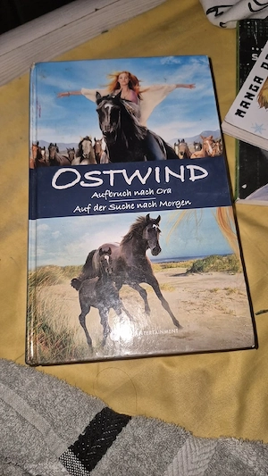 Ostwind Doppelband: Aufbruch nach Ora & Auf der Suche nach Morgen (Band 3 & 4)