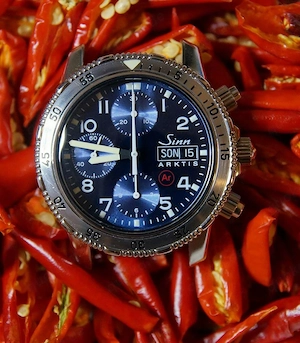 SINN 203 Arktis - das Original - neue Revision