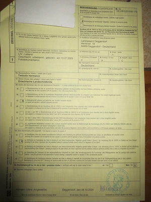 2025 jahrgang griechische landschildkröte