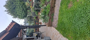 Witwer 76 sucht  nette Bekanntschaft  Bild 2