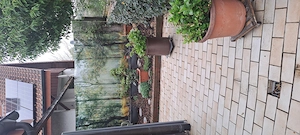 Witwer 76 sucht  nette Bekanntschaft  Bild 3