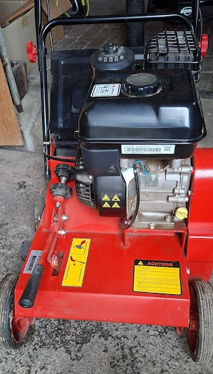 Vertikutierer WEIBANG