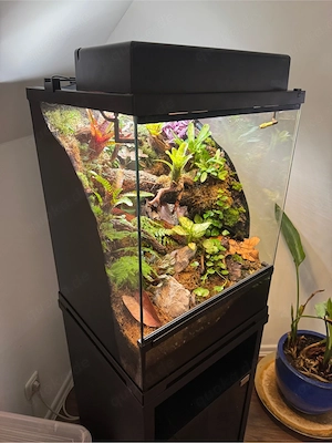 Exo Terra Pro (45x45x60) Dendrobaten Terrarium inkl. Zubehör.