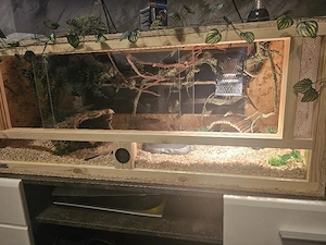 OSB Terrarium 