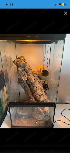 terrarium 30x30x60cm