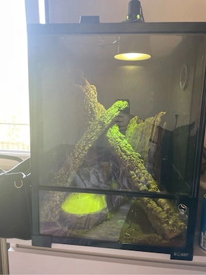 Terrarium 45x45x60cm