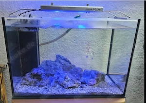 Meerwasser Lebendgestein Riffgestein