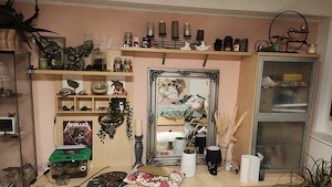 Wohnwand aus Holz mit viel Stauraum (ohne Deko)