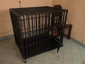 Wo ist die wirklich masochistische Frau , die Schläge, Erniedrigung, auspeitschen - und Liebe sucht.