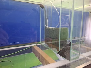 Aquarium  Zucht Anlage "komplett oder einzeln" Bild 3