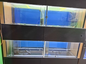Aquarium  Zucht Anlage "komplett oder einzeln" Bild 2