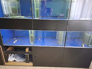 Aquarium  Zucht Anlage "komplett oder einzeln" Bild 6