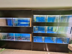 Aquarium  Zucht Anlage "komplett oder einzeln"