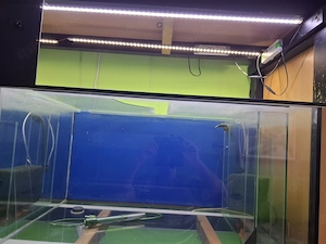 Aquarium  Zucht Anlage "komplett oder einzeln" Bild 4