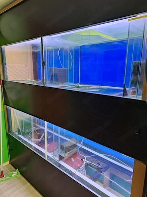 Aquarium  Zucht Anlage "komplett oder einzeln" Bild 9