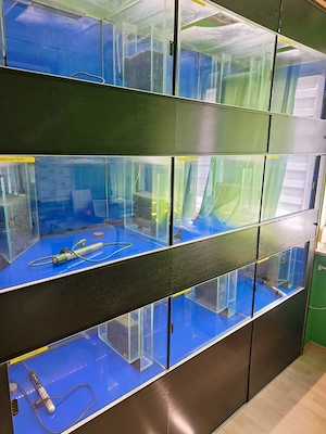 Aquarium  Zucht Anlage "komplett oder einzeln" Bild 8