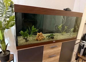   Aquarium