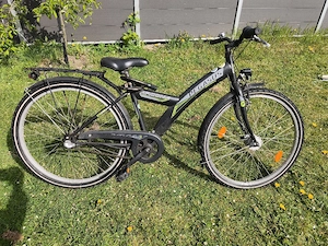 Pegasus Arcona 26-Zoll 3-Gang-Jugendfahrrad