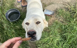 Hallo, ich bin Annabelle!