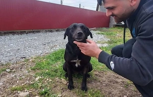 Delany liebt Menschen