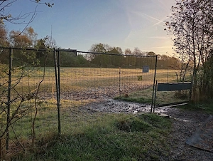 Biete Zuhause für ein ganzes Hundeleben ..