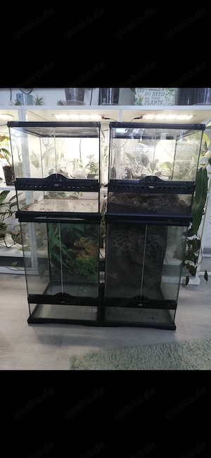 Exo Terrarien 3 Stück 