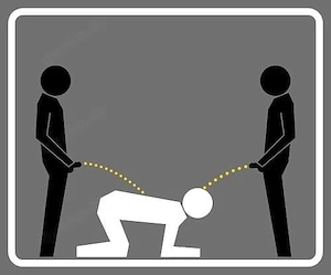 Junge NS-Spender gesucht